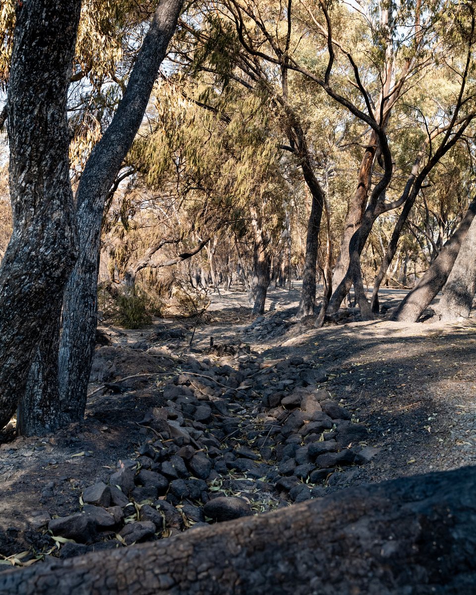 Climate, Fireground