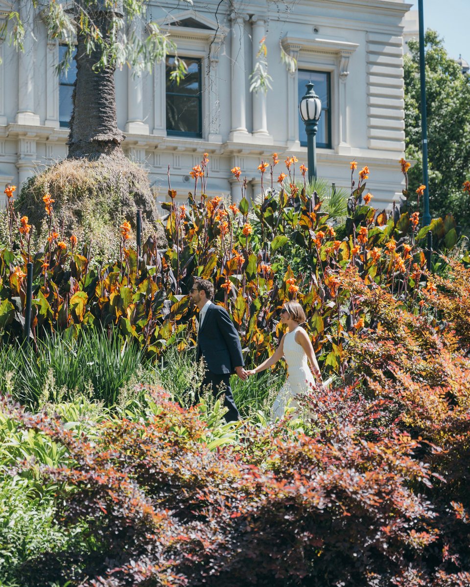 Elopements & Weddings, frame 16