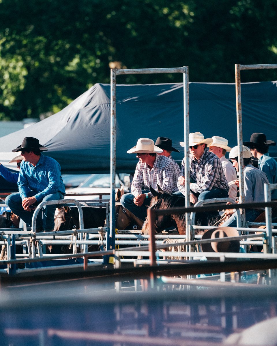 Tumbarumba Rodeo, New Year's Day 2024, frame 21