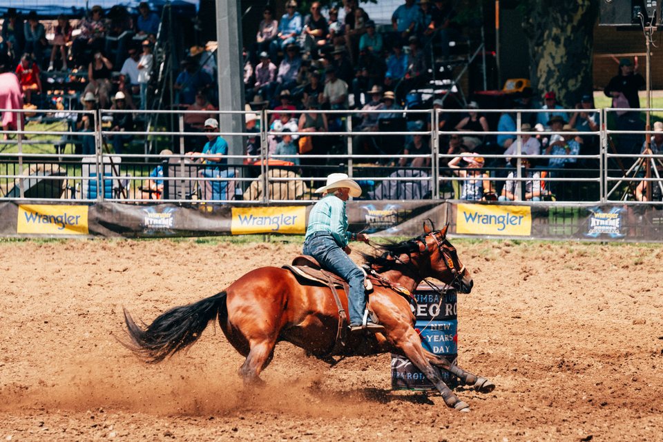 Tumbarumba Rodeo, New Year's Day 2024, frame 8