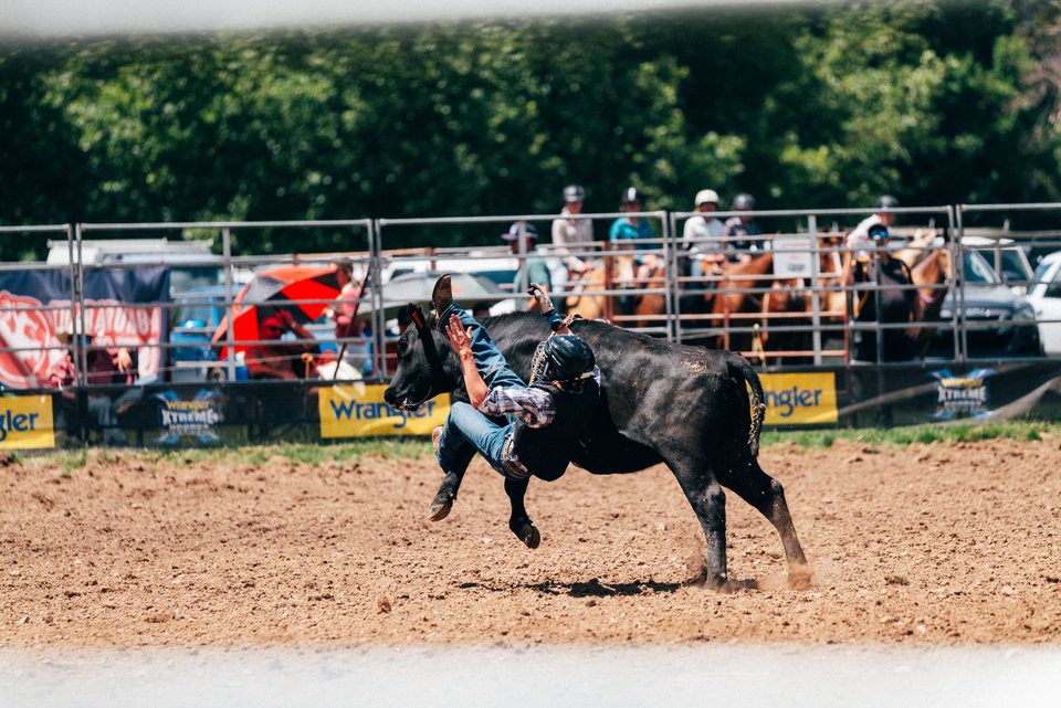 Tumbarumba Rodeo, New Year's Day 2024, frame 14