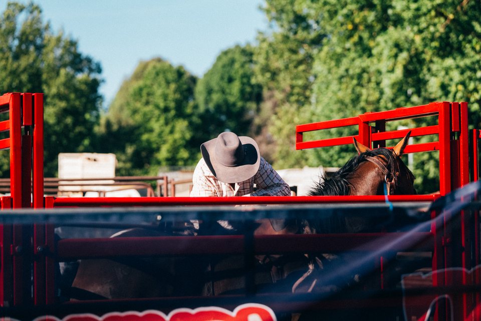 Tumbarumba Rodeo, New Year's Day 2024, frame 22