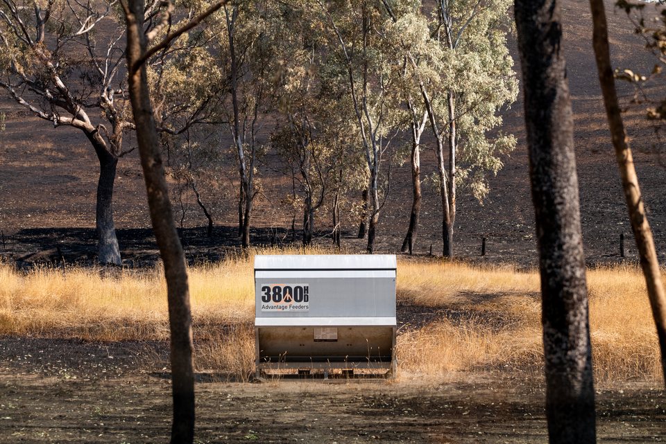Climate, Fireground
