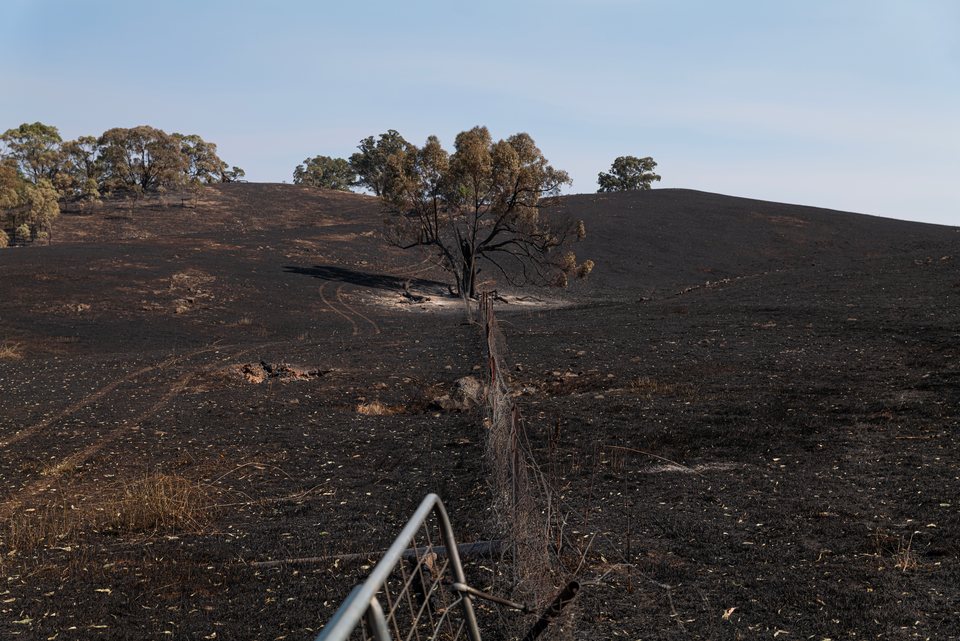 Climate, Fireground