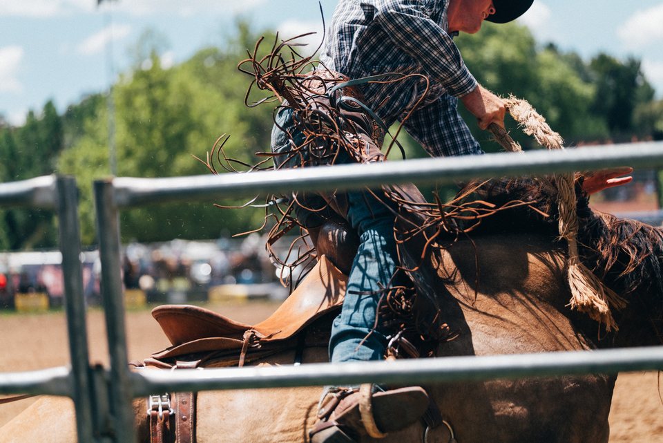 Tumbarumba Rodeo, New Year's Day 2024, frame 10