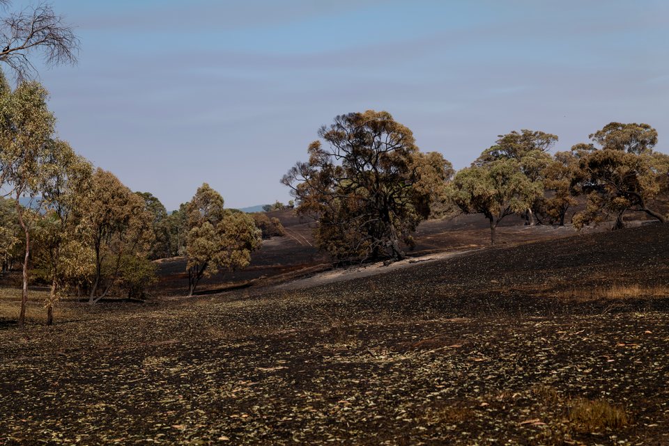 Climate, Fireground