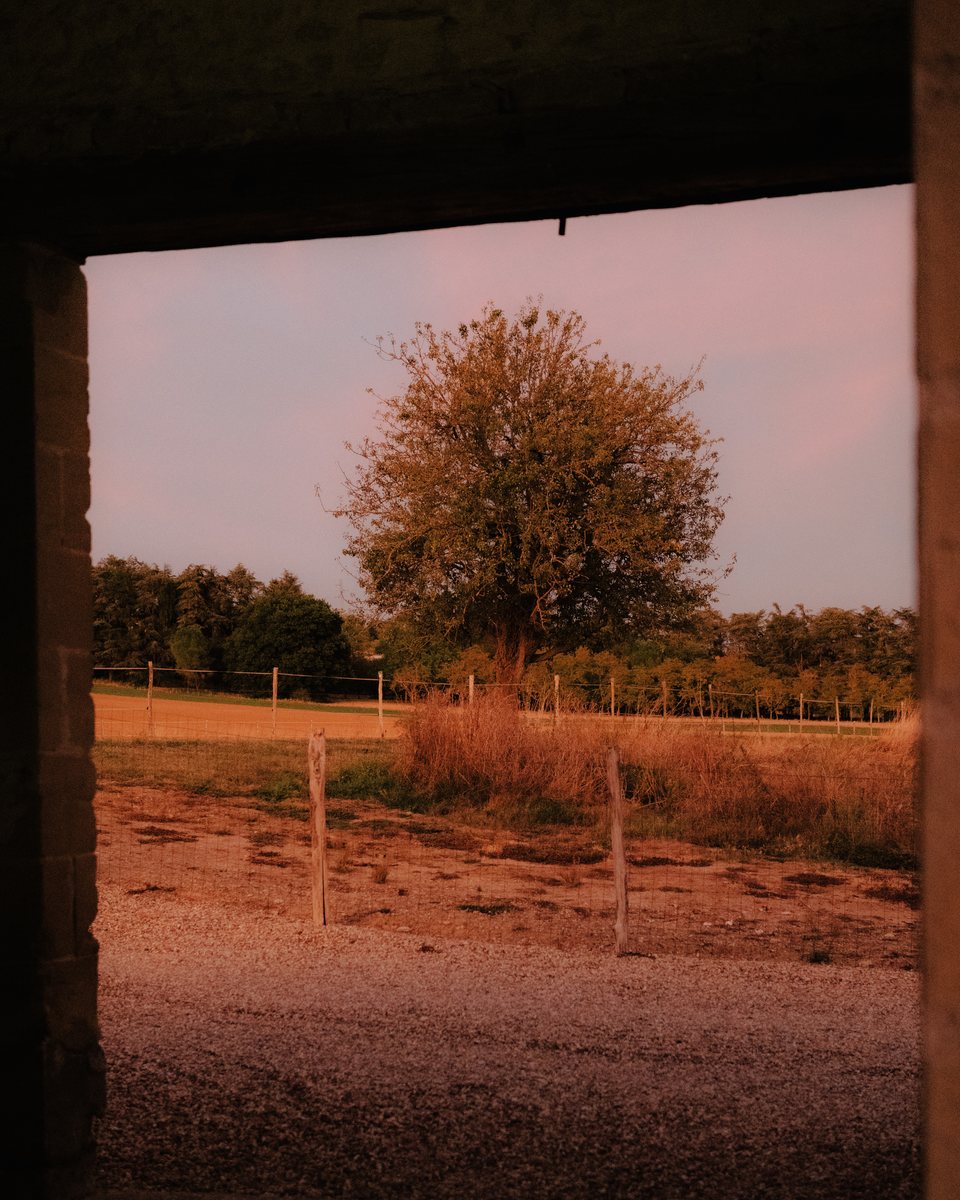 Photograph by Joshua Preston