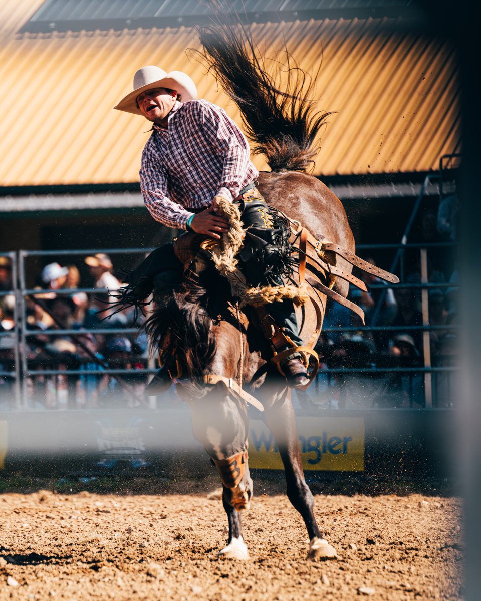 Tumbarumba Rodeo, New Year's Day 2024, frame 16