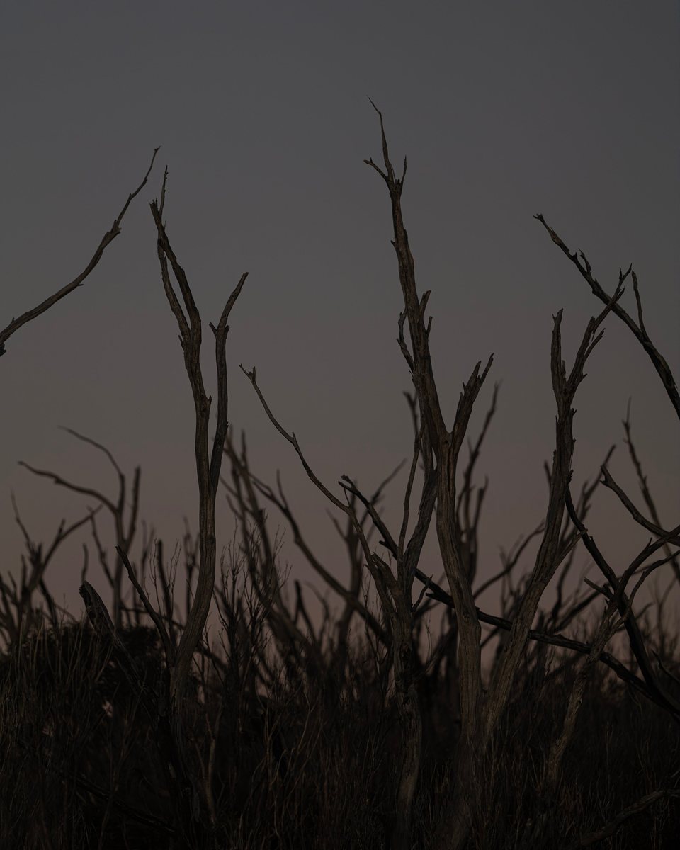 Organic Form, frame 7