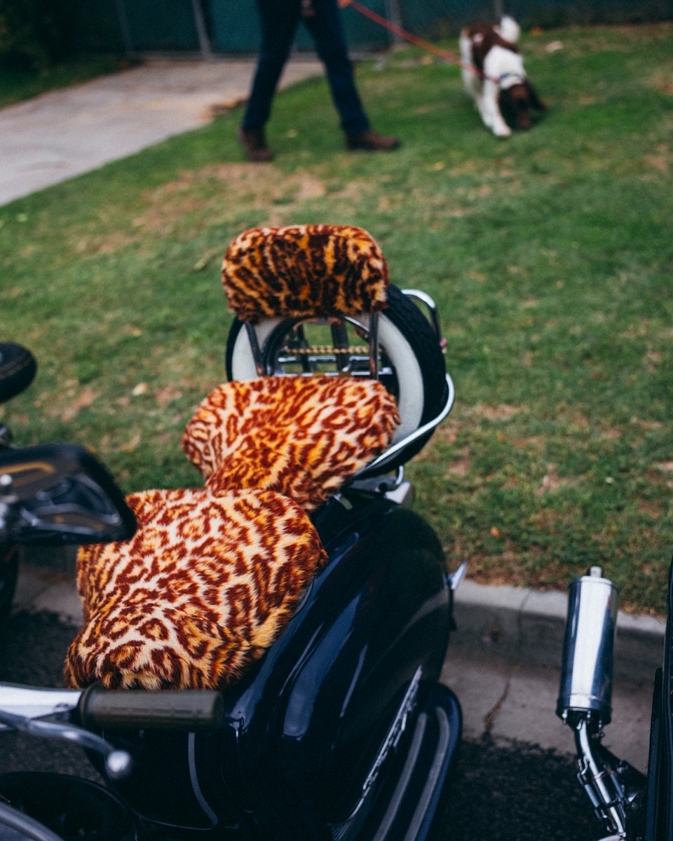 Lambretta Club Meet, Castlemaine 2026, frame 3